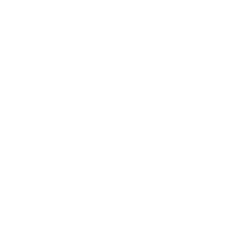 Hex Fight Series | Australia’s best MMA Promotion